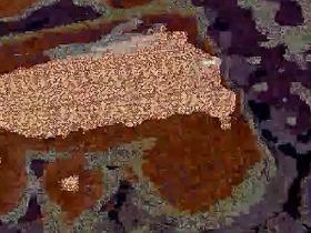 Dick videotape porn fat chinese gay